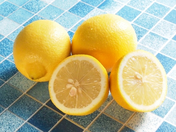 83108c166b65234551249fb33e1d4ea2_s