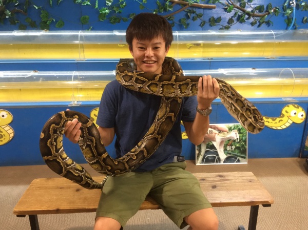 入社を決意した理由