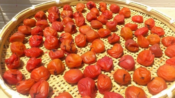 d244868ffac226e5f3a223f6fa3afa1c_s